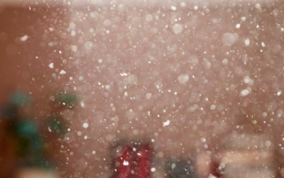 Why Is My House So Dusty?