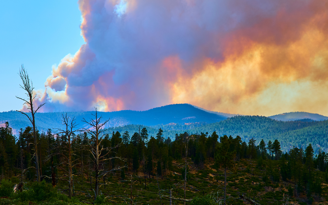 Wildfire Smoke and Your Home