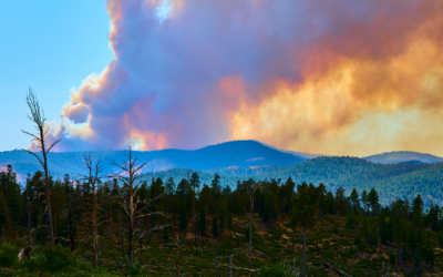 Wildfire Smoke and Your Home